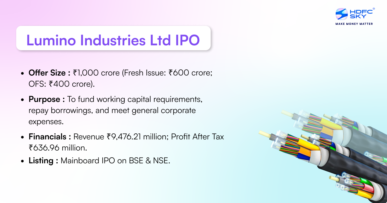 Lumino Industries Limited IPO Highlights