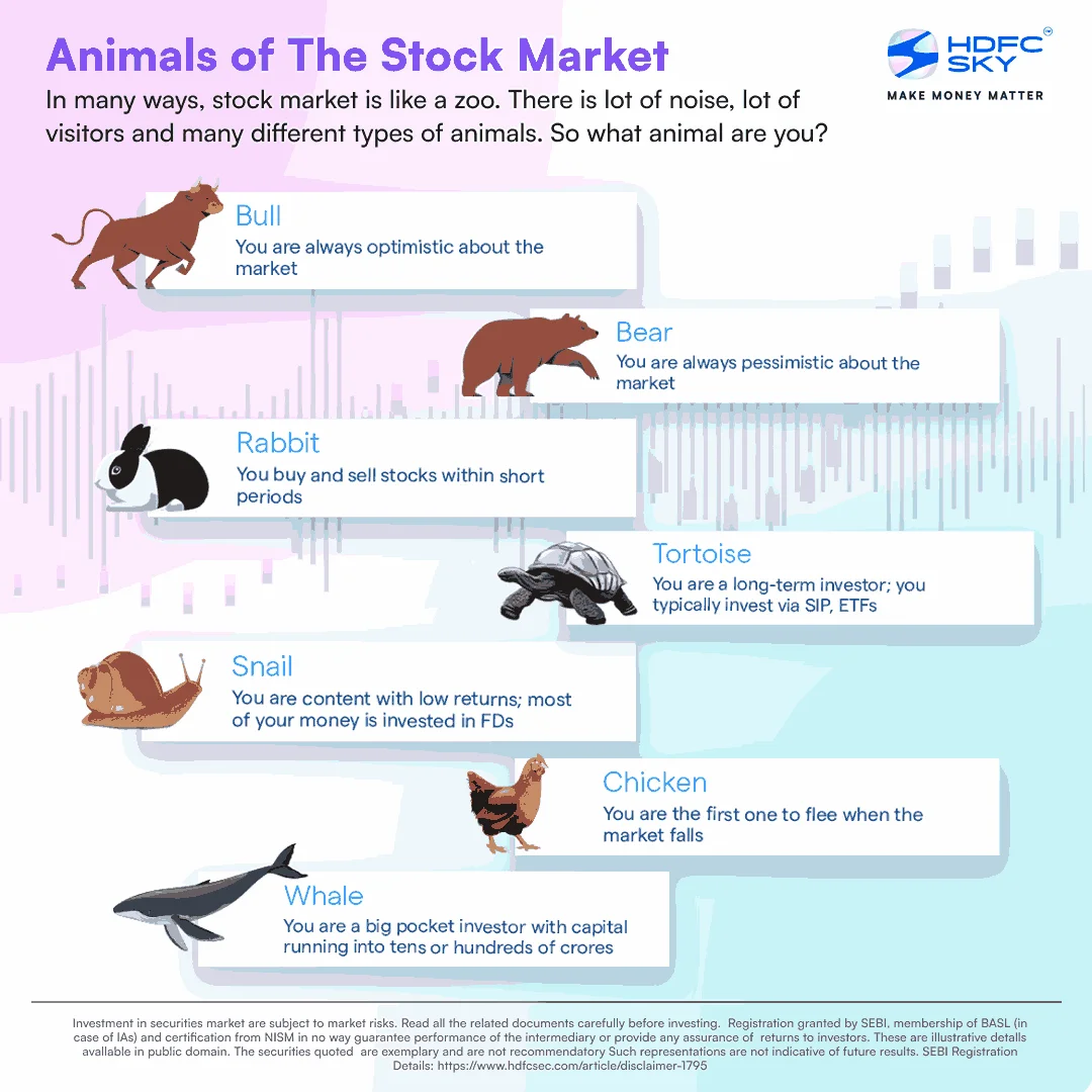 Stock Market Jargons Every Investor Should Know | HDFC Sky