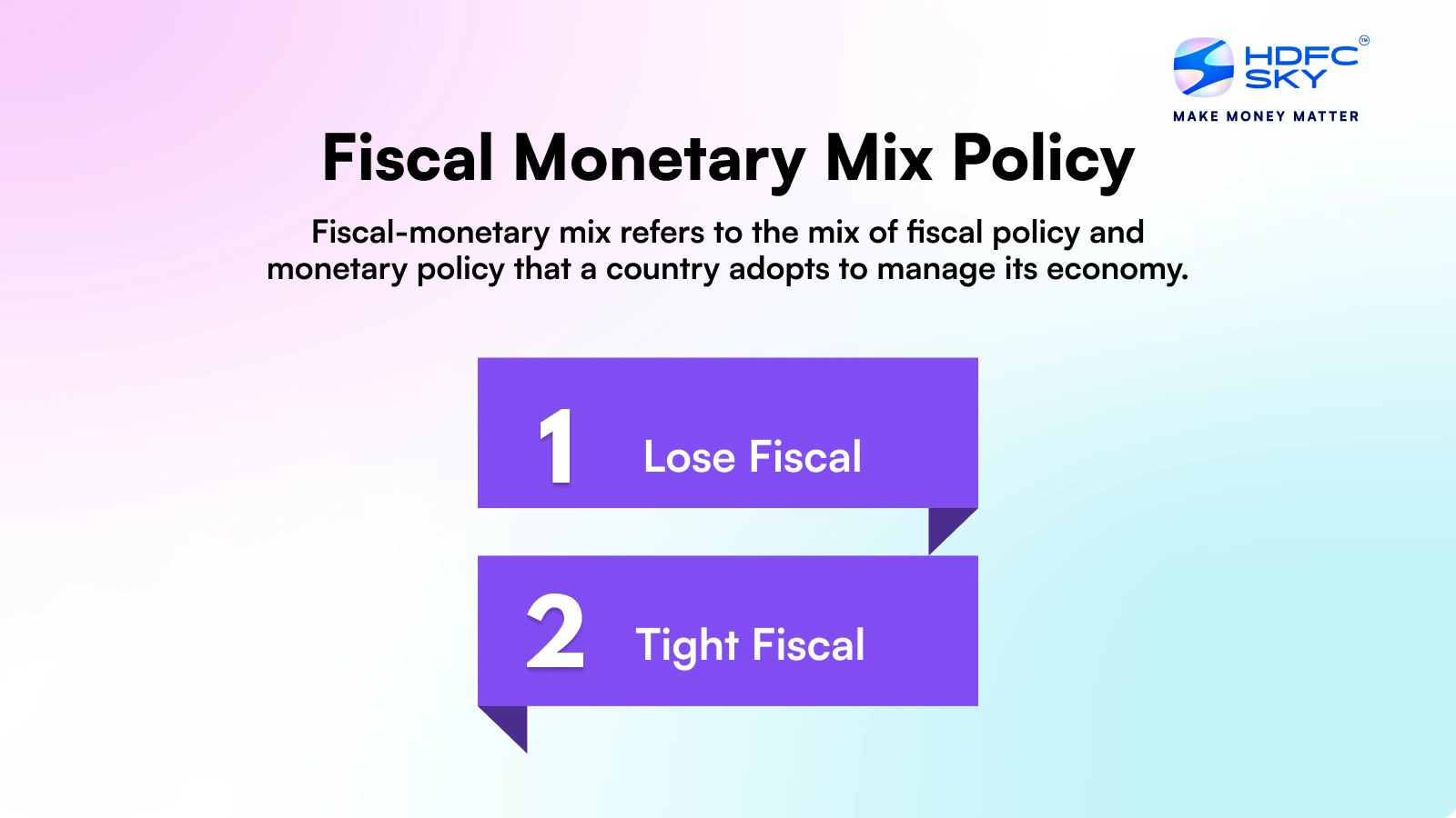 What is Fiscal-Monetary Mix?