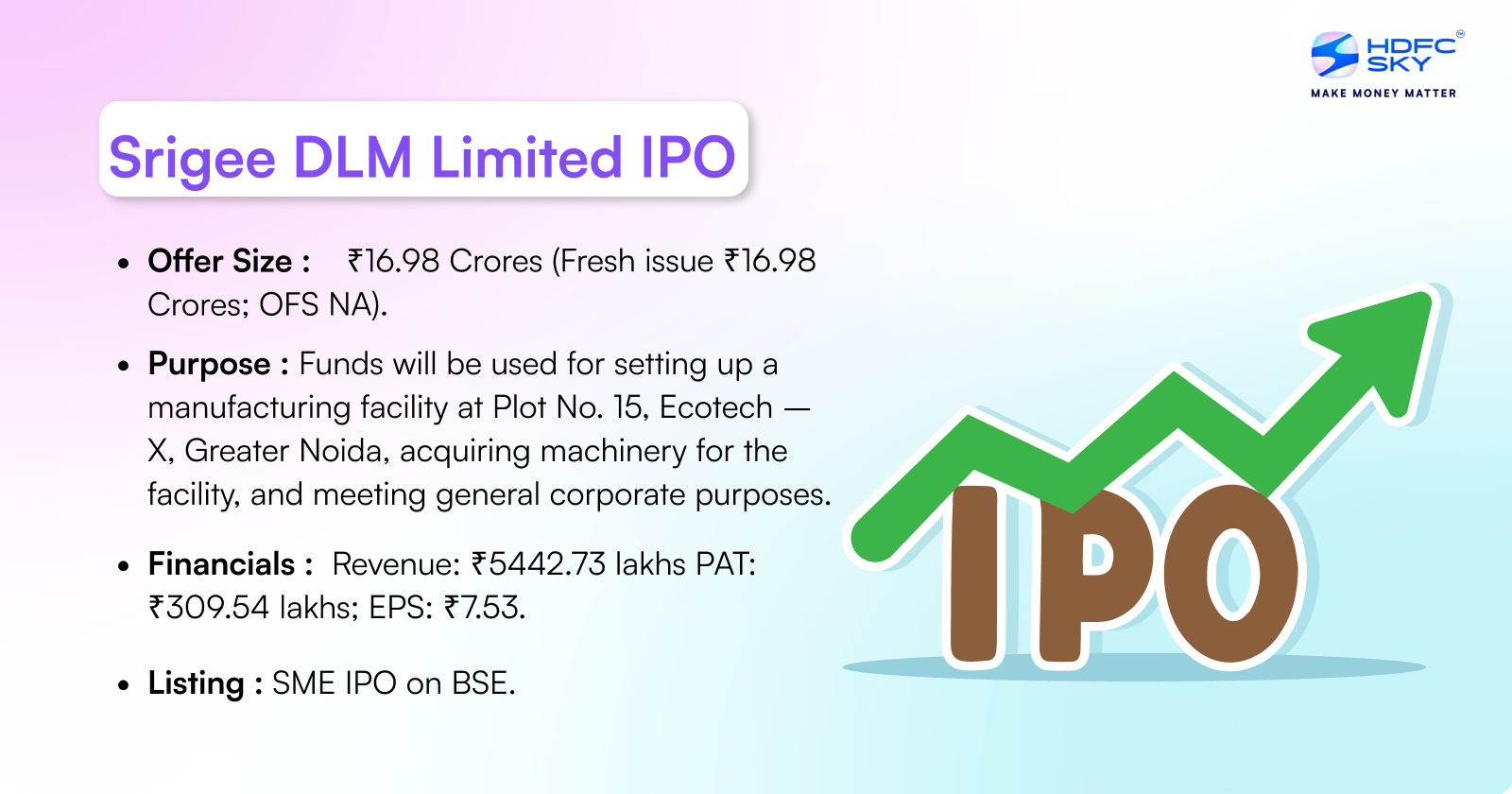 Srigee DLM Limited IPO Highlights