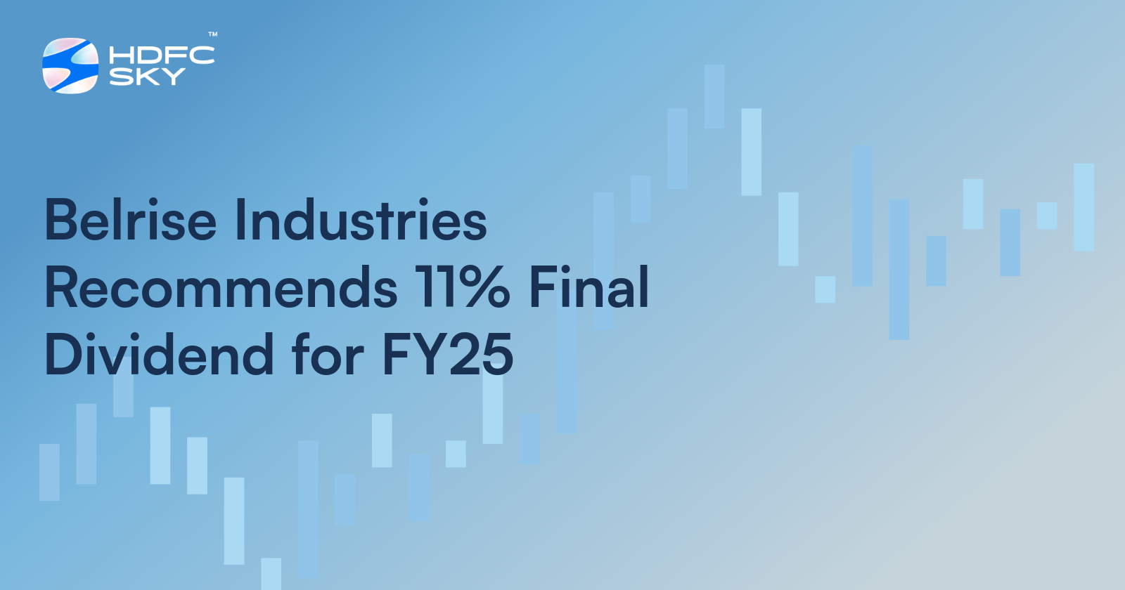 Belrise Industries Recommends 11% Final Dividend for FY25
