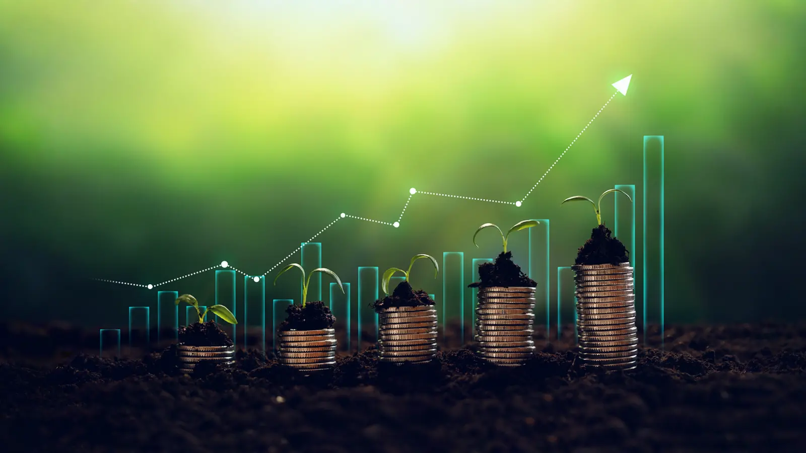 Mutual Funds Invested Over ₹2,688 Crore, in 5 IPOs in June