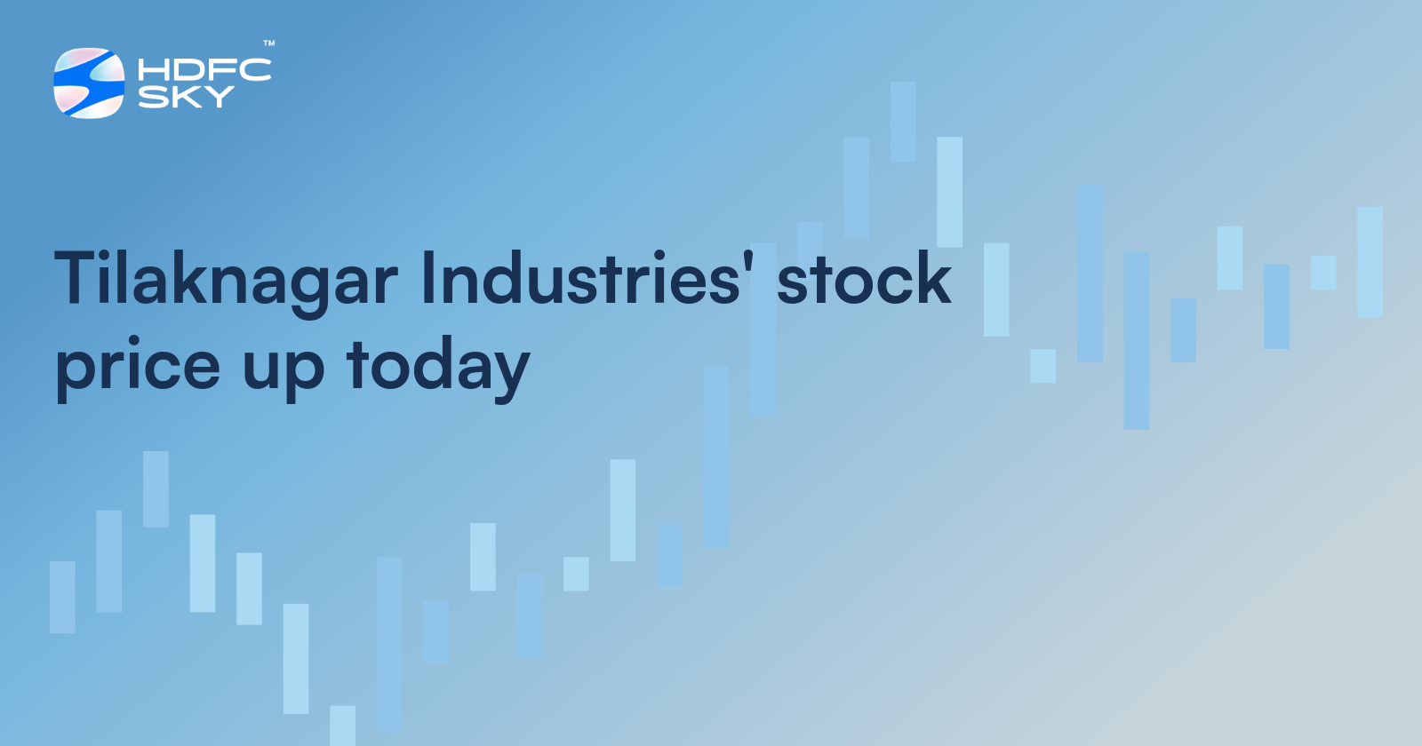 Tilaknagar Industries' Stock Price up Today