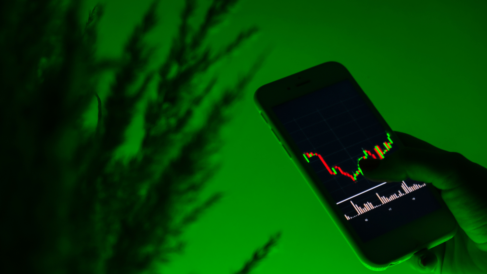 CCL Products Stock Hits ₹936.80 Ahead of Q1FY26 Results