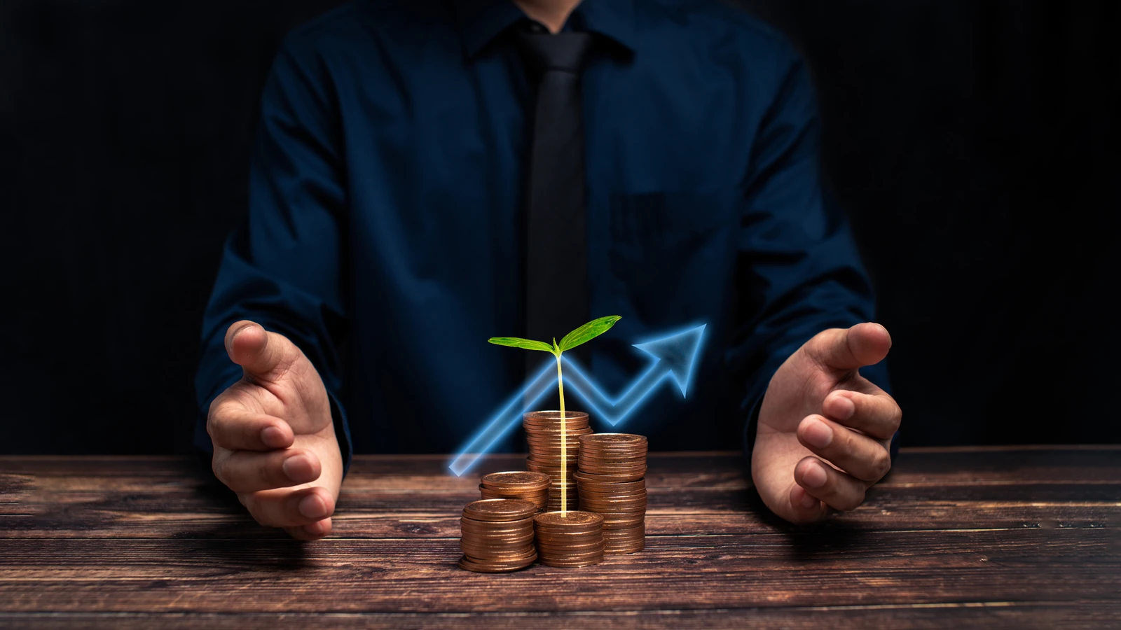 Sarda Energy & Minerals Stock Price Up by More Than 17% Today