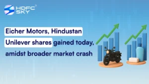 Eicher Motors, Hindustan Unilever shares gained today, amidst broader market crash