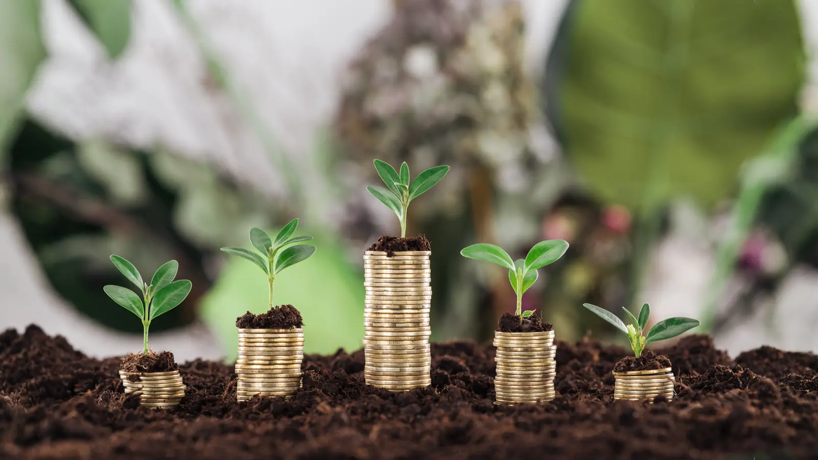 Edelweiss Fixes Record Date for ₹1.50 Dividend on Sept 11