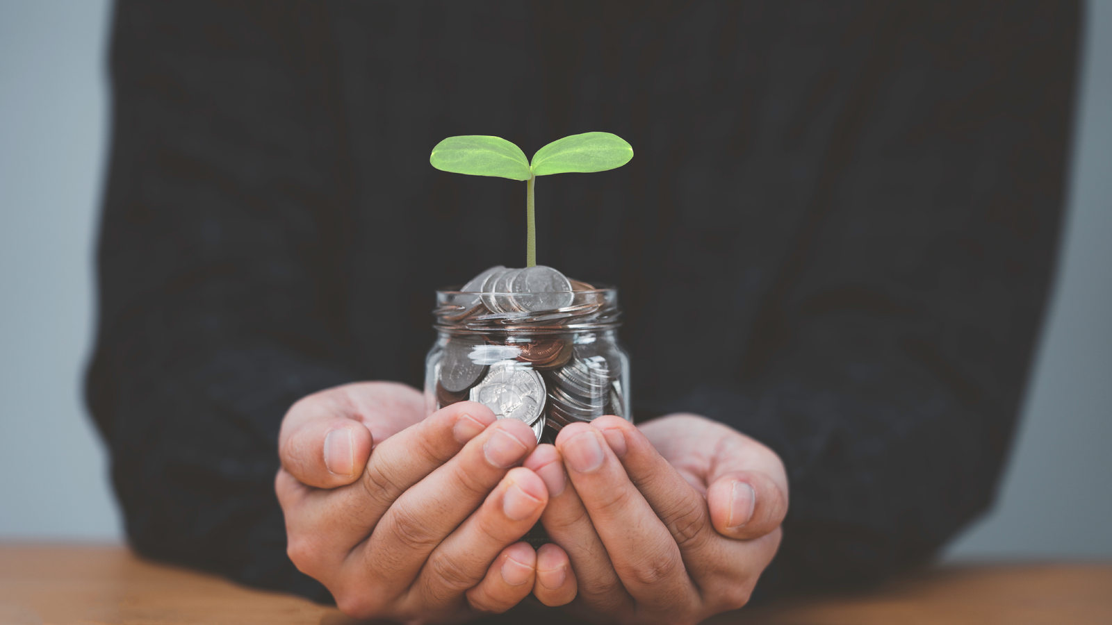 The Wealth Company Mutual Fund Gets SEBI Nod to Launch Ethical Fund