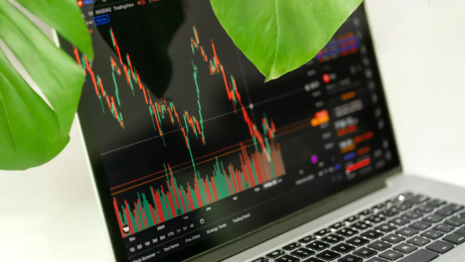 Colgate-Palmolive Stock Falls 3.4% After Q2 Earnings Disappointment