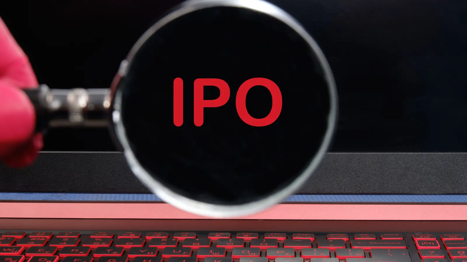 DSM Fresh Foods IPO Allotment Status to Be Finalised Today: Here Is How To Check Status Online