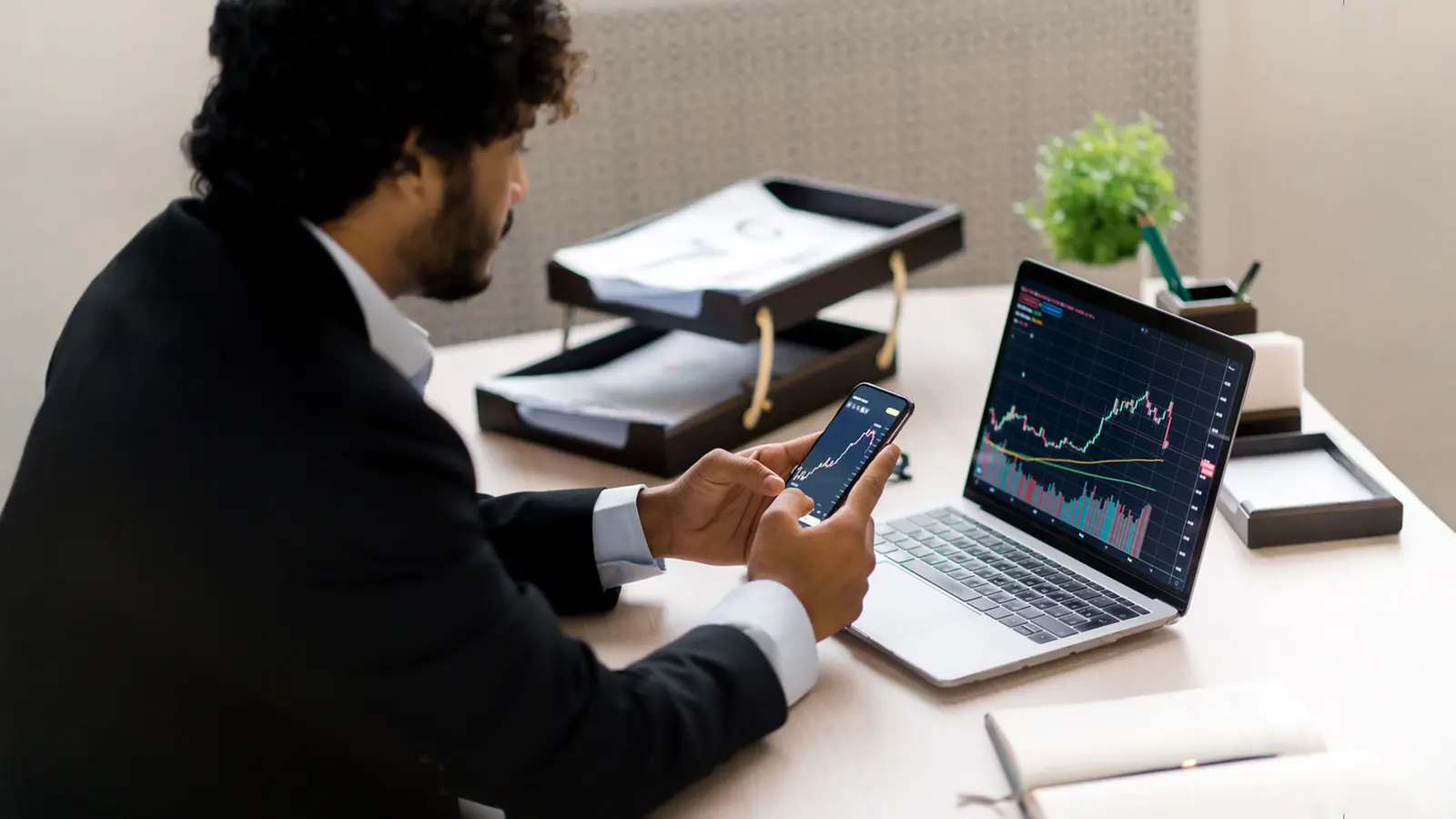 Mangalore Chemicals & Fertilizers Rises 1.57% After NCLT Approval for Merger with Paradeep Phosphates