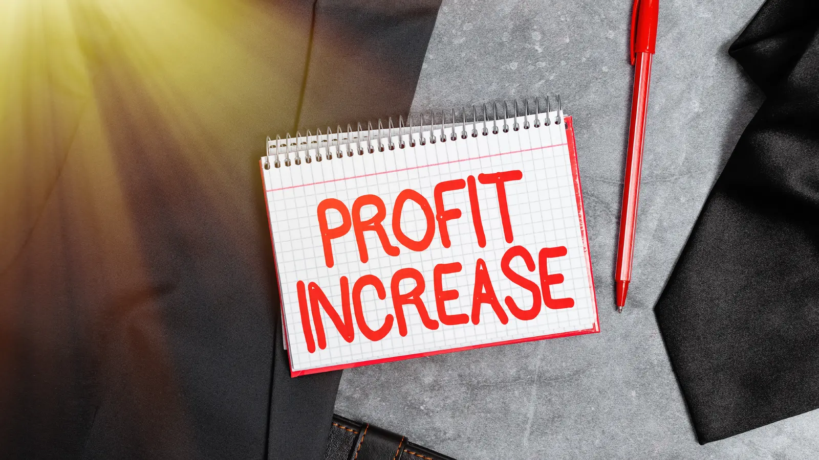 Raghav Productivity Enhancers Q2FY26 Net Profit Jumps 58% YoY to ₹13.84 Crore; Revenue Rises 29%