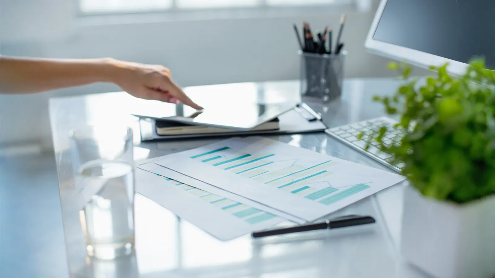 Sapphire Foods Rises 0.85% Despite Net Loss Widening to ₹127.9 Million YoY