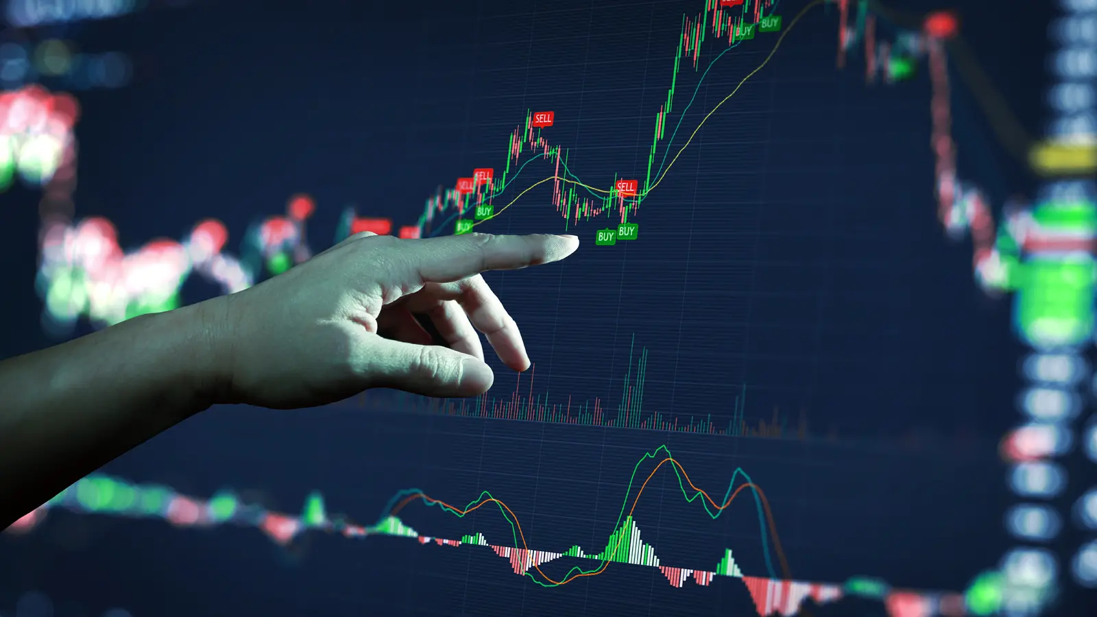 Sensex and Nifty Gain on US-India Trade Deal Optimism; IT Stocks Lead Gains