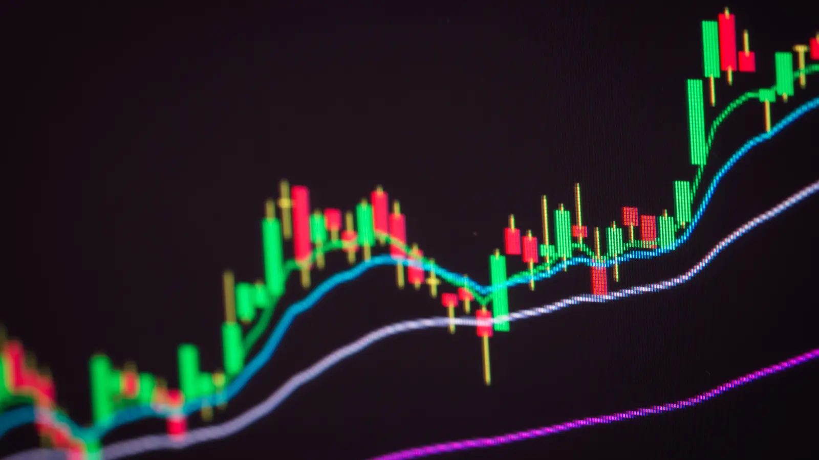 Tara Chand InfraLogistic Completes ₹83.14 Crore Capex for FY26; Stock Jumps 16%