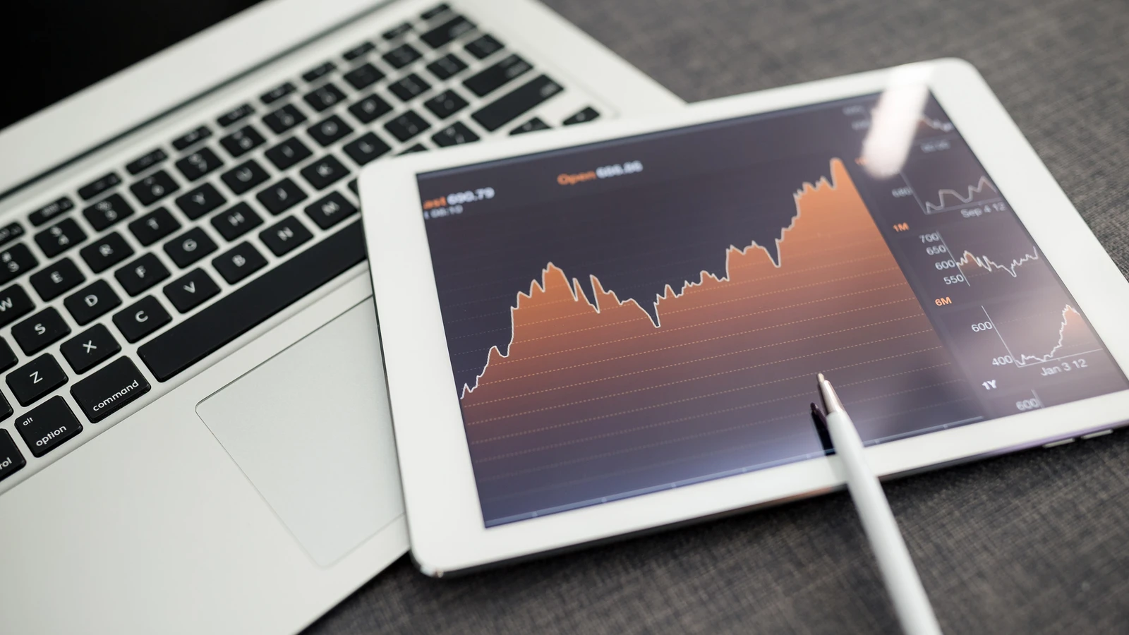 Tips Industries Shares Jump 6.83% After Q2 Profit Rises 10% YoY; ₹4 Interim Dividend Announced