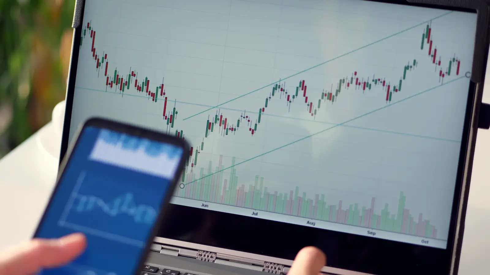 Colab Platforms Soars to Record High, Delivers 19,500% Returns in Five Years