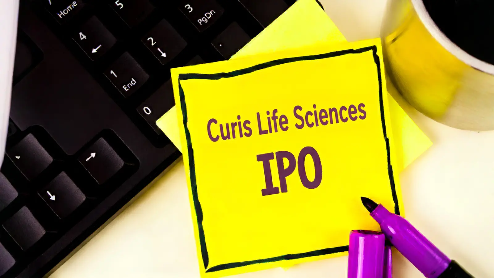 Curis Lifesciences IPO Opens Today; Anchor Investors Add ₹7.79 Cr