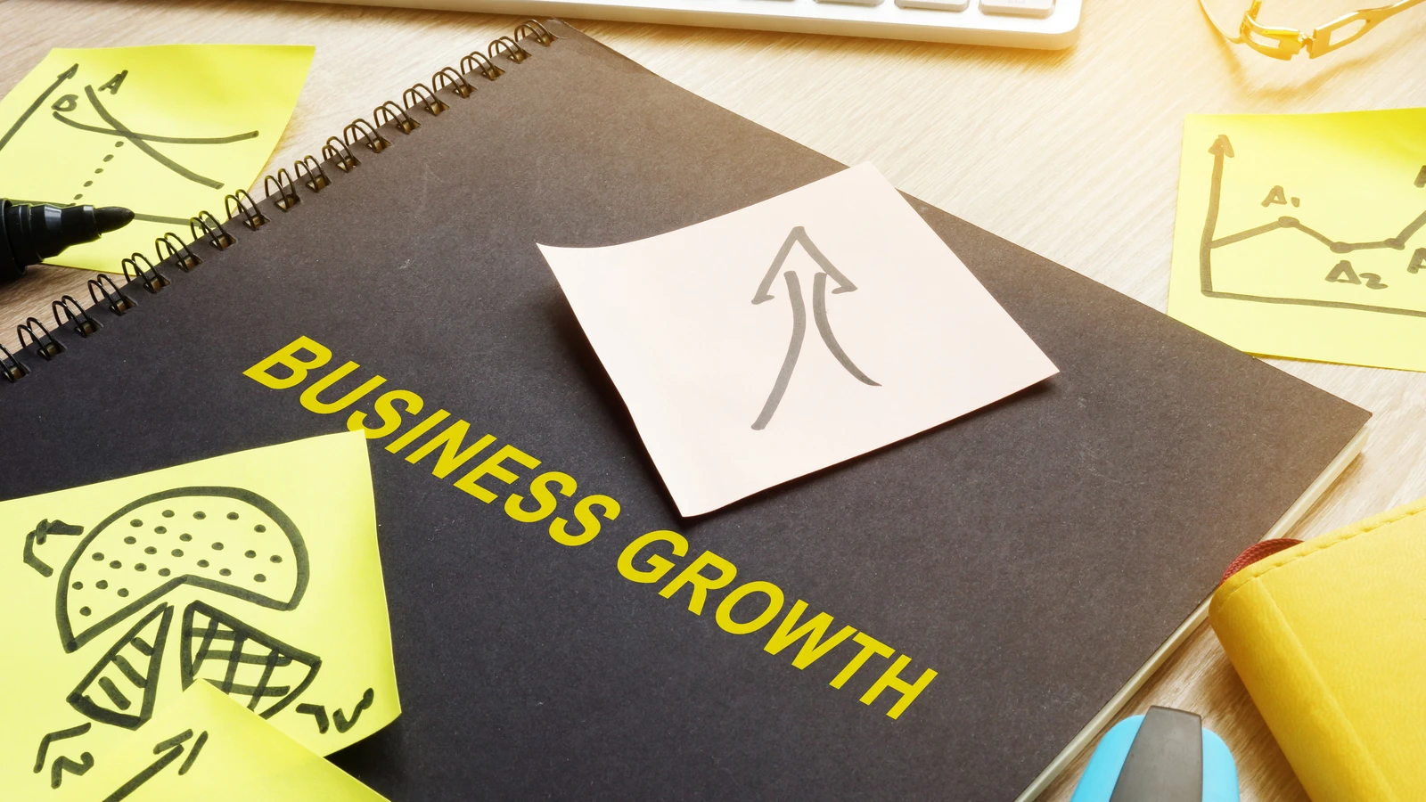 Fischer‍‌‍‍‌‍‌‍‍‌ Medical Ventures Unveils First Filipino Locally Gov-Funded MRI Facility; Shares Price Drop Almost 15%