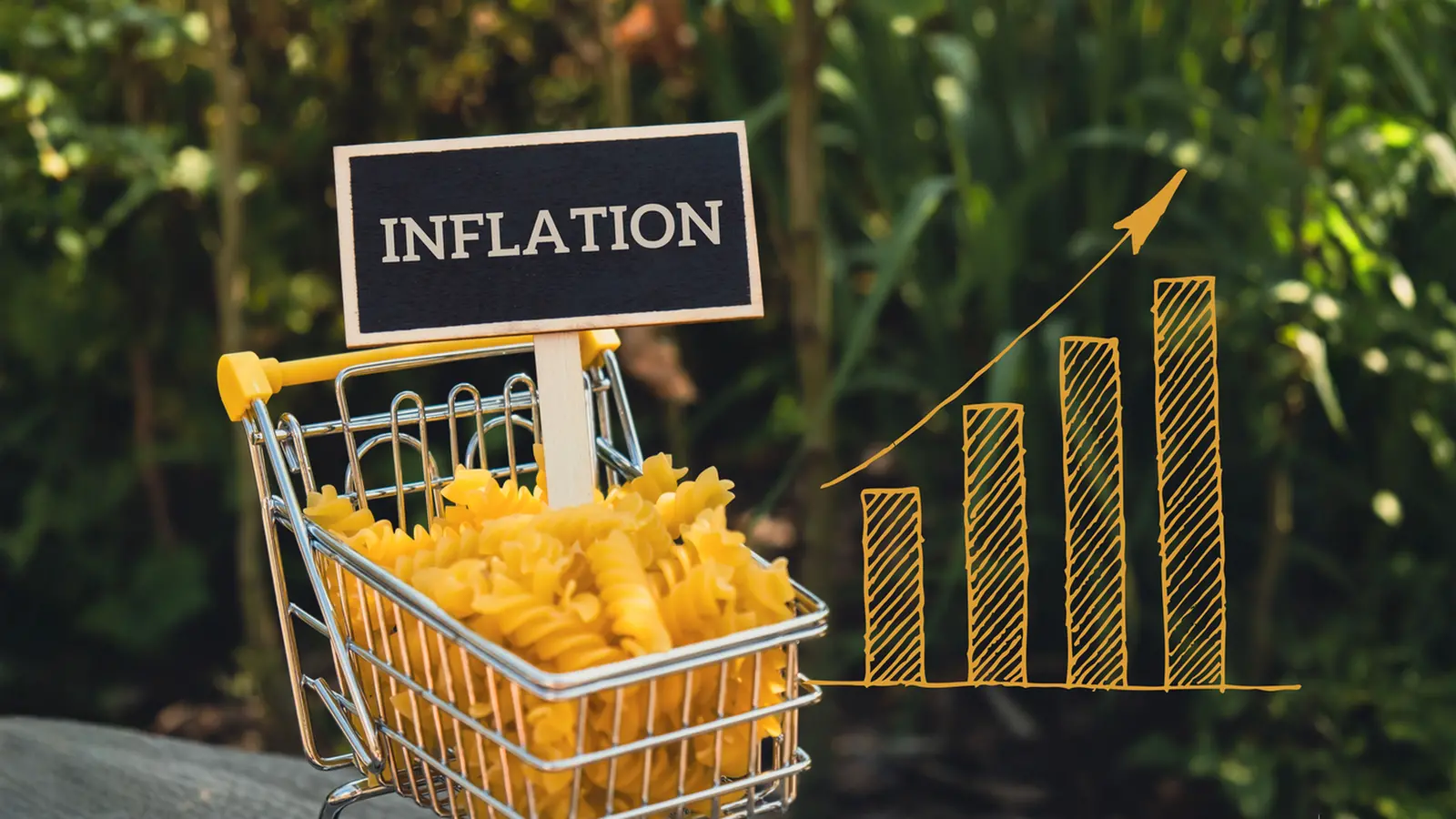 RBI Sees No Systematic Bias In Inflation Forecasts, Explores Monthly BoP Data Release