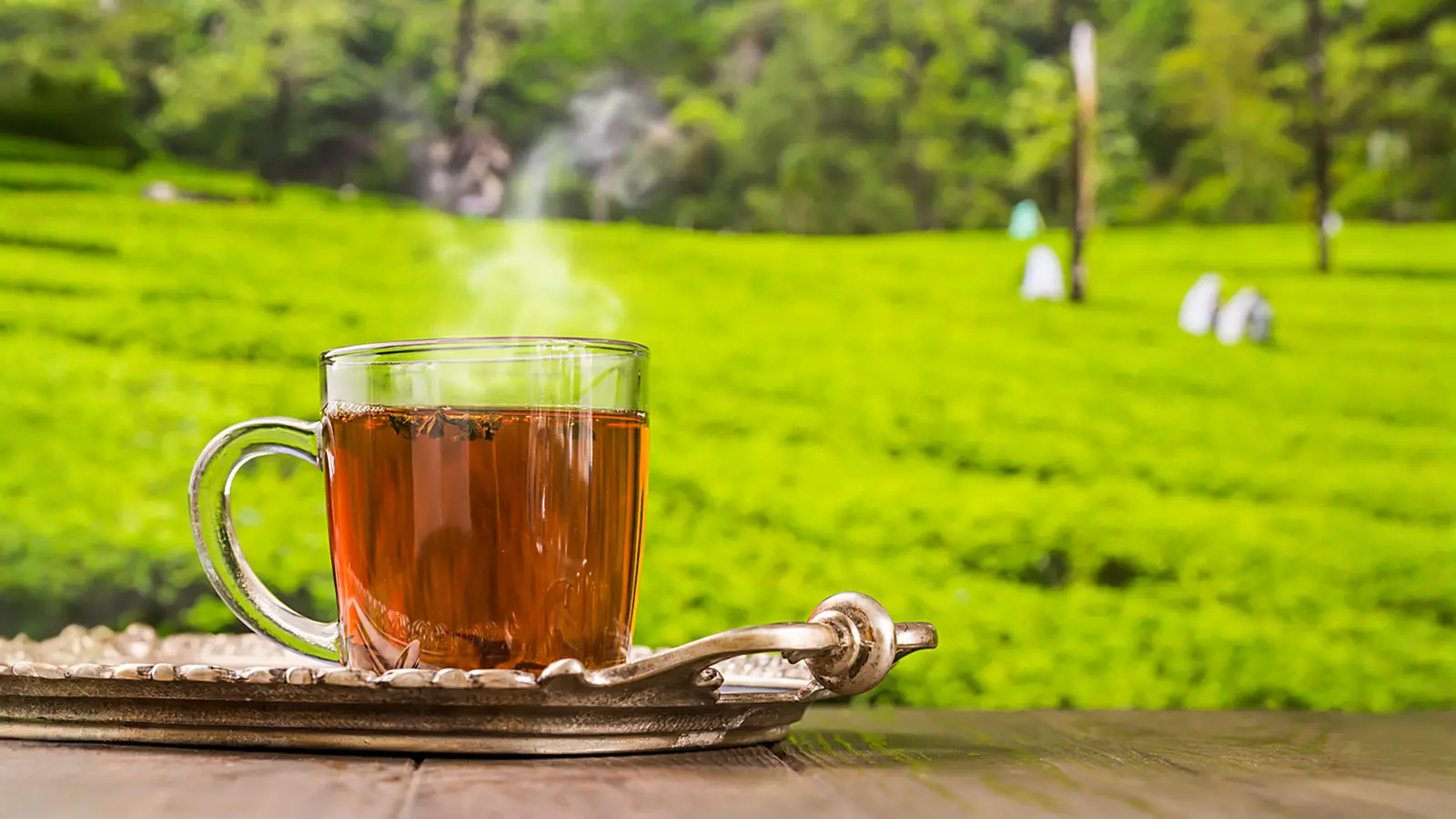 Tea, Coffee and Spices Among Indian Goods Exempted From New US Tariffs