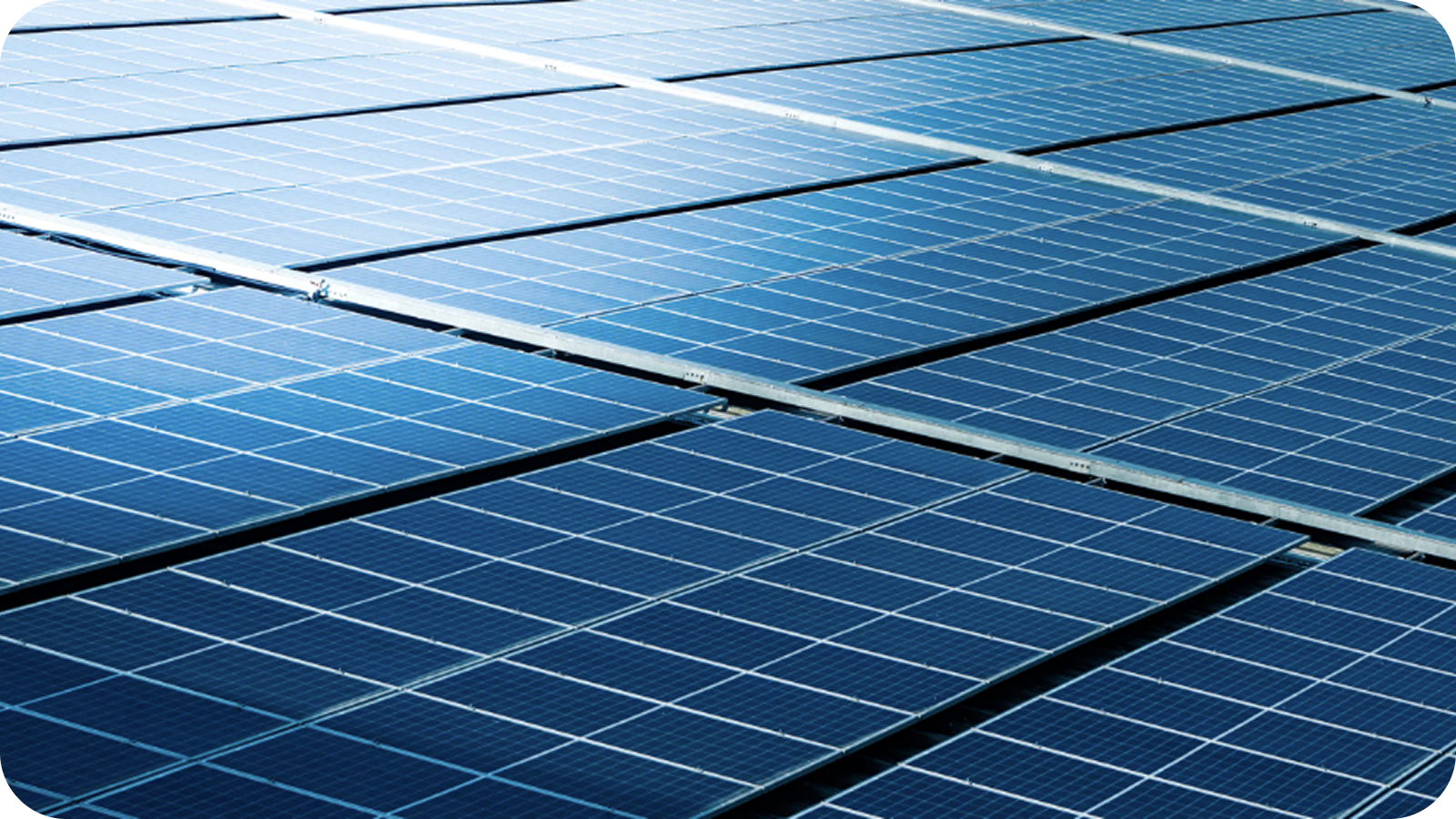 Waaree Energies Secures 140 MW Solar Module Order