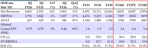 Financial Summary lemon tree