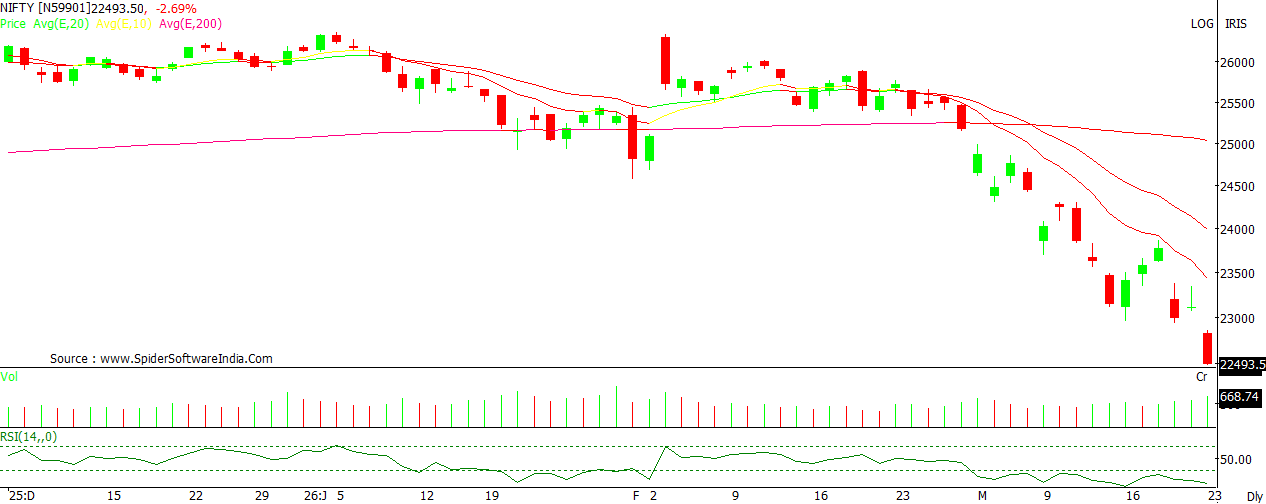 NIFTY (19)