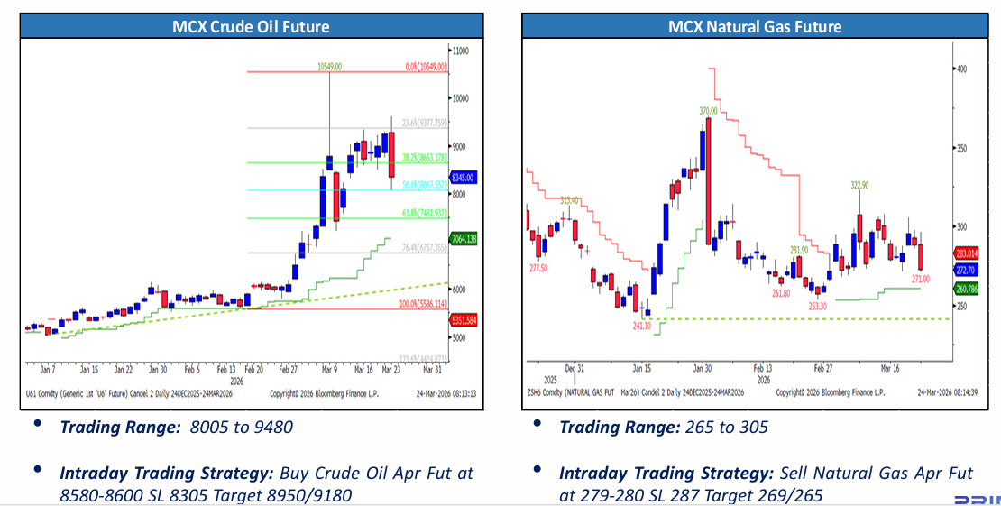 Crude Oil and Natural Gas Price