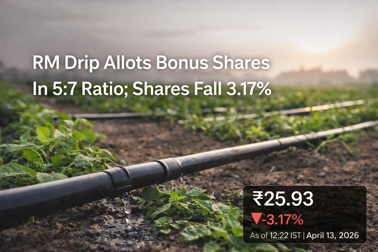 RM Drip Allots Bonus Shares In 5:7 Ratio; Shares Fall 3.17%