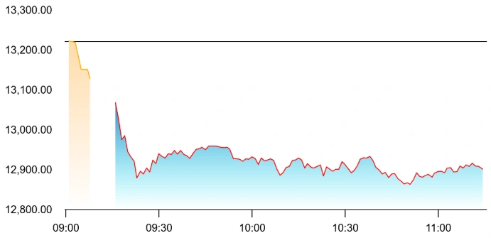 Maruti Suzuki share Price