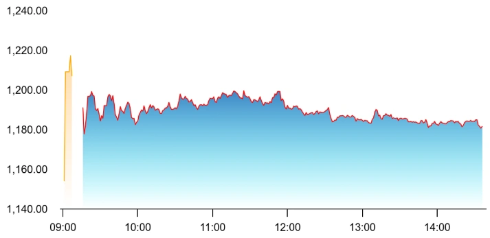 Bharat Dynamics Share Sinks After Weak Q4 Results; Street Flags Execution Delays, Margin Concerns