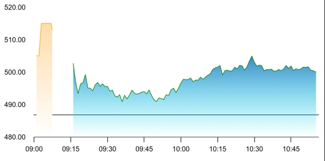 Ola Share Price