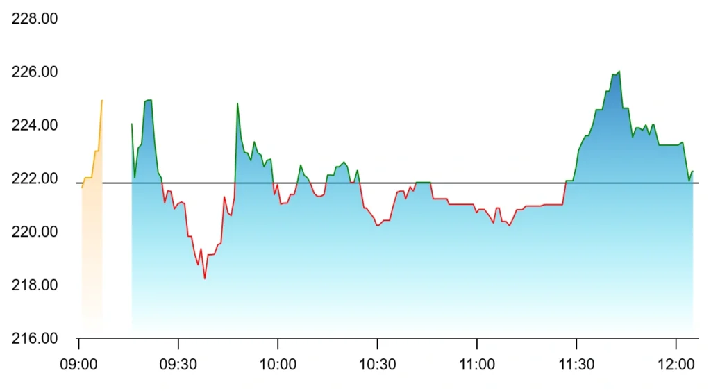 South West pinnacle share price