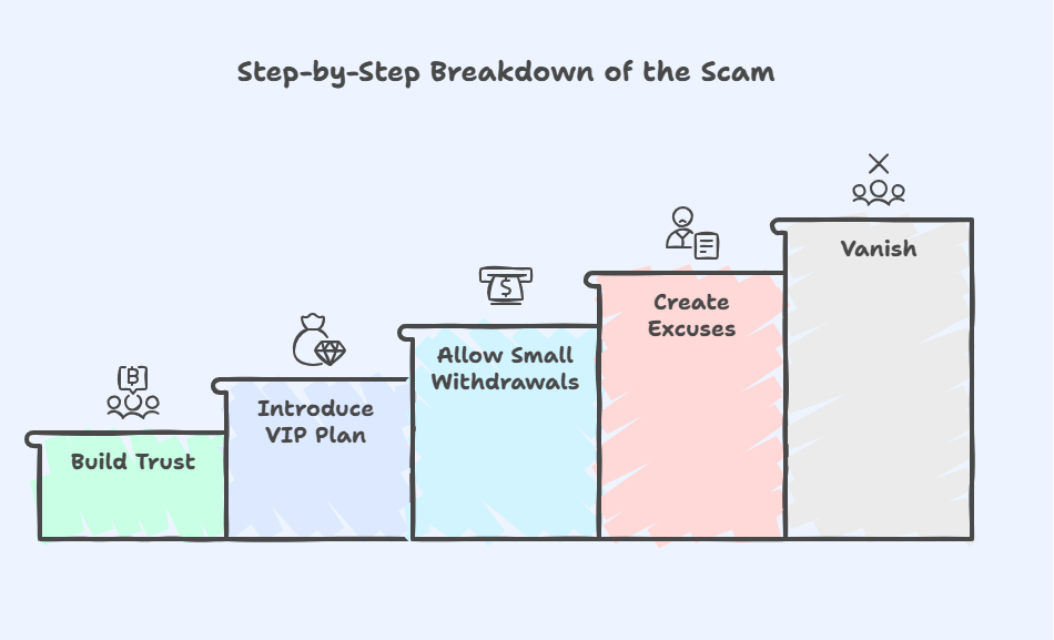This Guaranteed Returns WhatsApp Investment Group Stole INR 2 Crore From 300 Investors - Here's How - Infographic