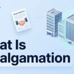 What Is Amalgamation in Business? Meaning, Types, Process and Examples