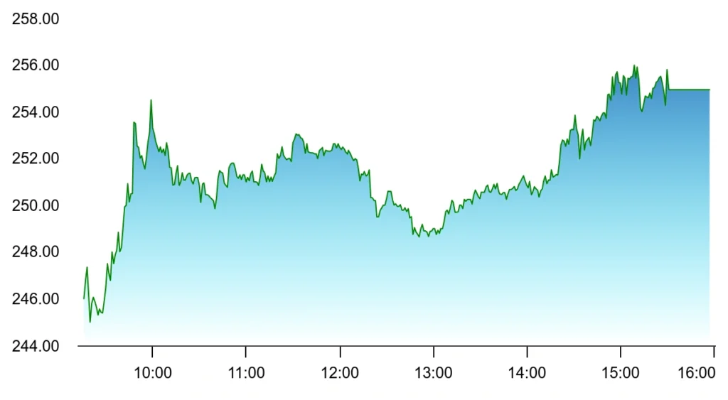 Zaggle Share Price