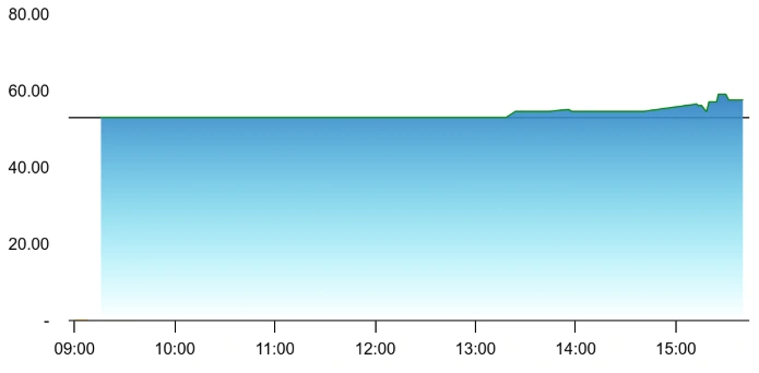 Marvel Decor share price