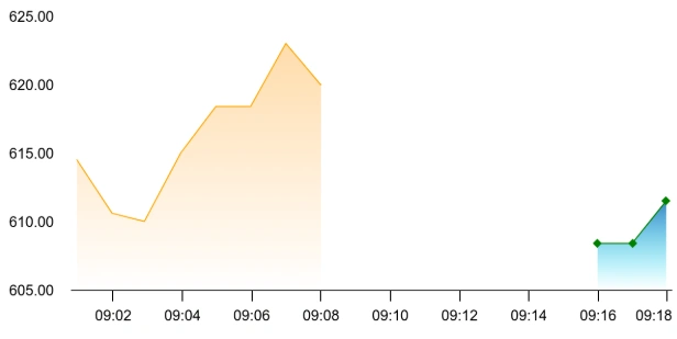 Man Industries share price