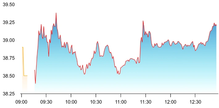 Stock Pressured by Fundraising Move