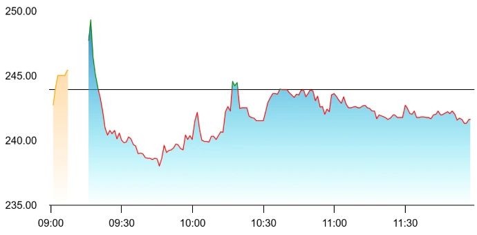 Marine Electricals share price