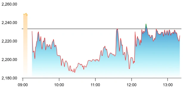 Kernex Microsystems share price
