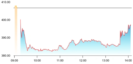Marine Electricals share price