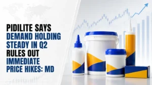 Pidilite Says Demand Holding Steady in Q2; Rules Out Immediate Price Hikes: MD