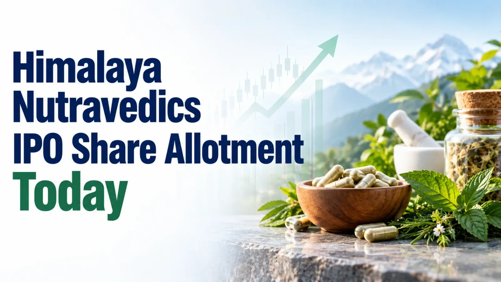 Himalaya Nutravedics IPO Share Allotment Today