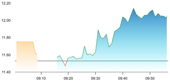 Steel Exchange India share price