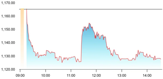Hatsun Agro share price