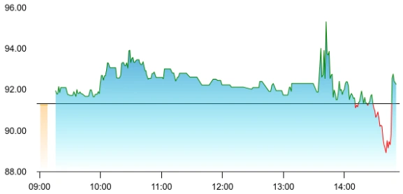Balaji Share Price