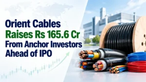 Orient Cables Raises Rs 165.6 Cr From Anchor Investors Ahead of IPO