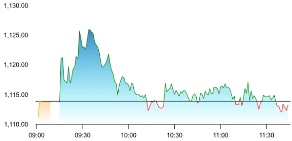 Zydus Lifesciences share price